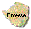 Browse